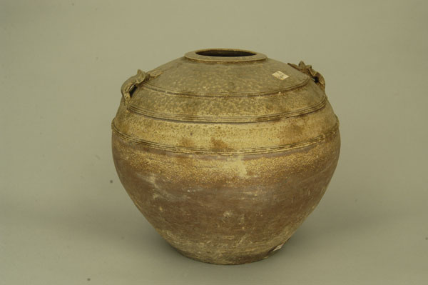 ����������ϵ��