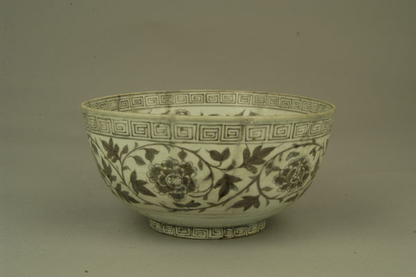 Ԫ������֦������.